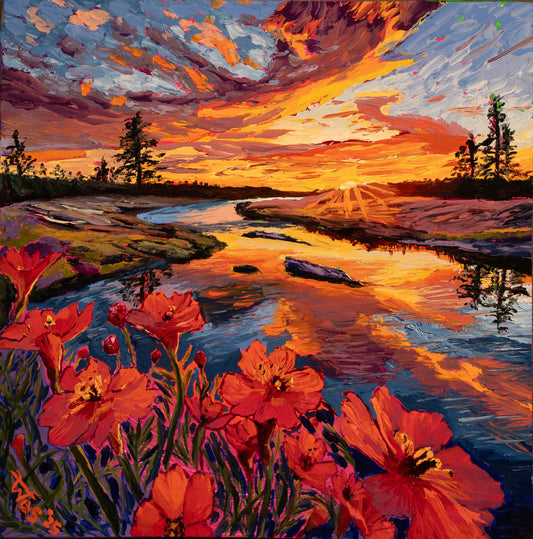 Evening Stream