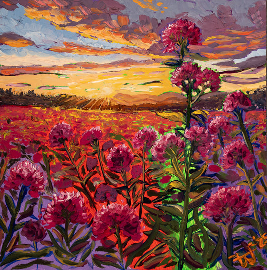 Violet Field