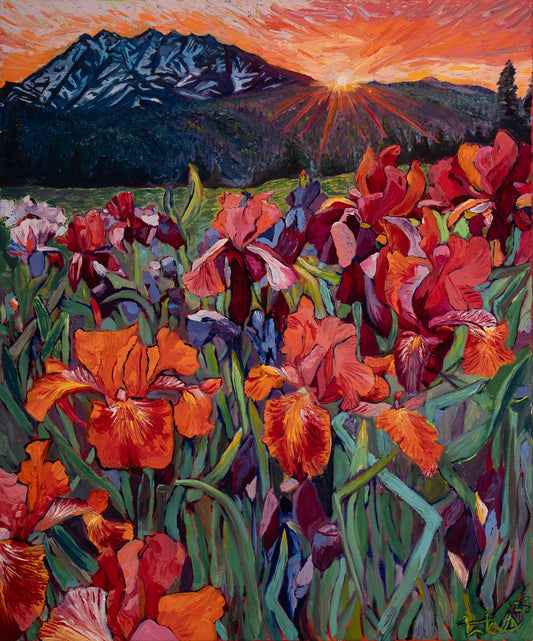 Wild Iris