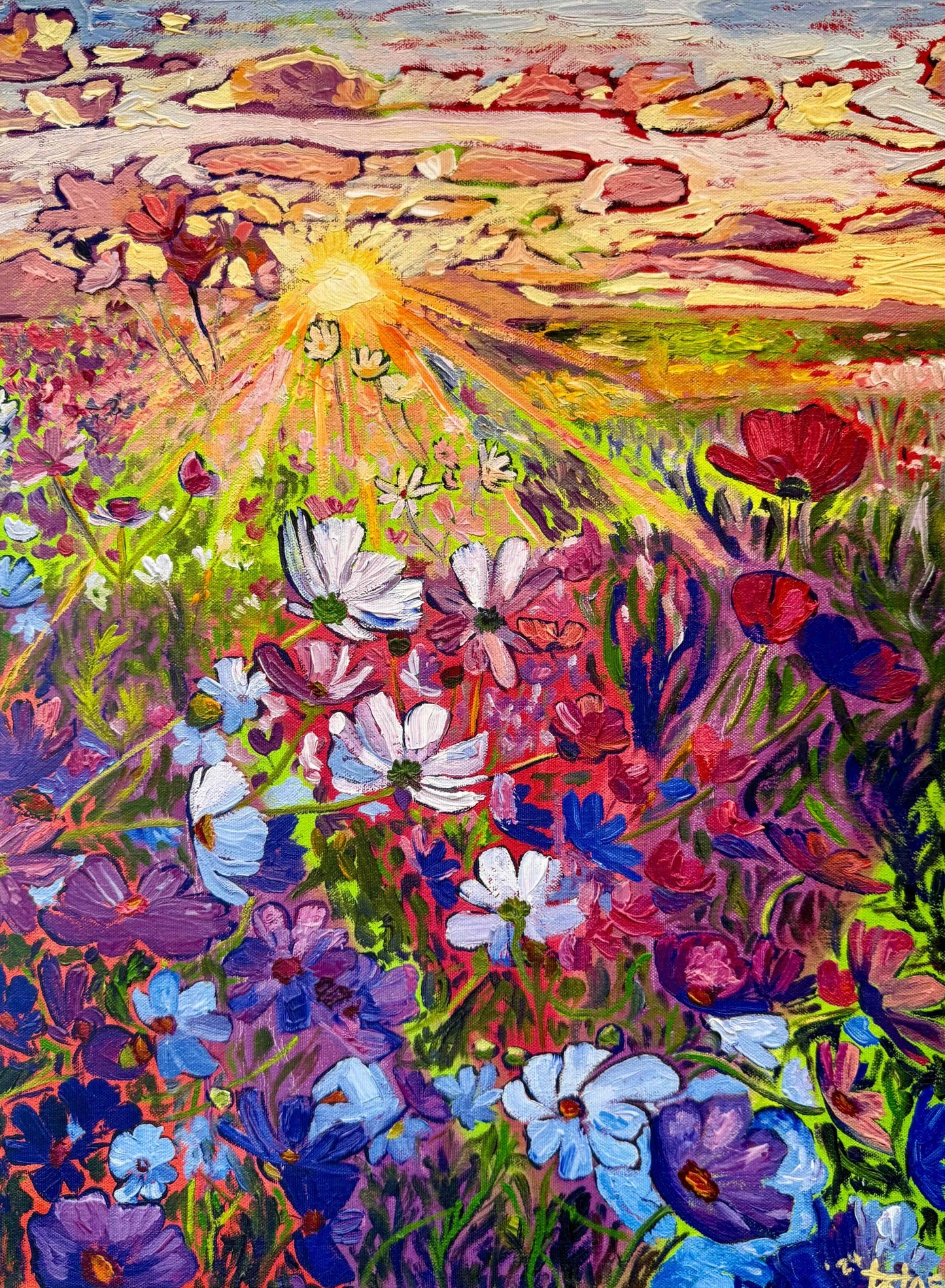 Morning Meadow