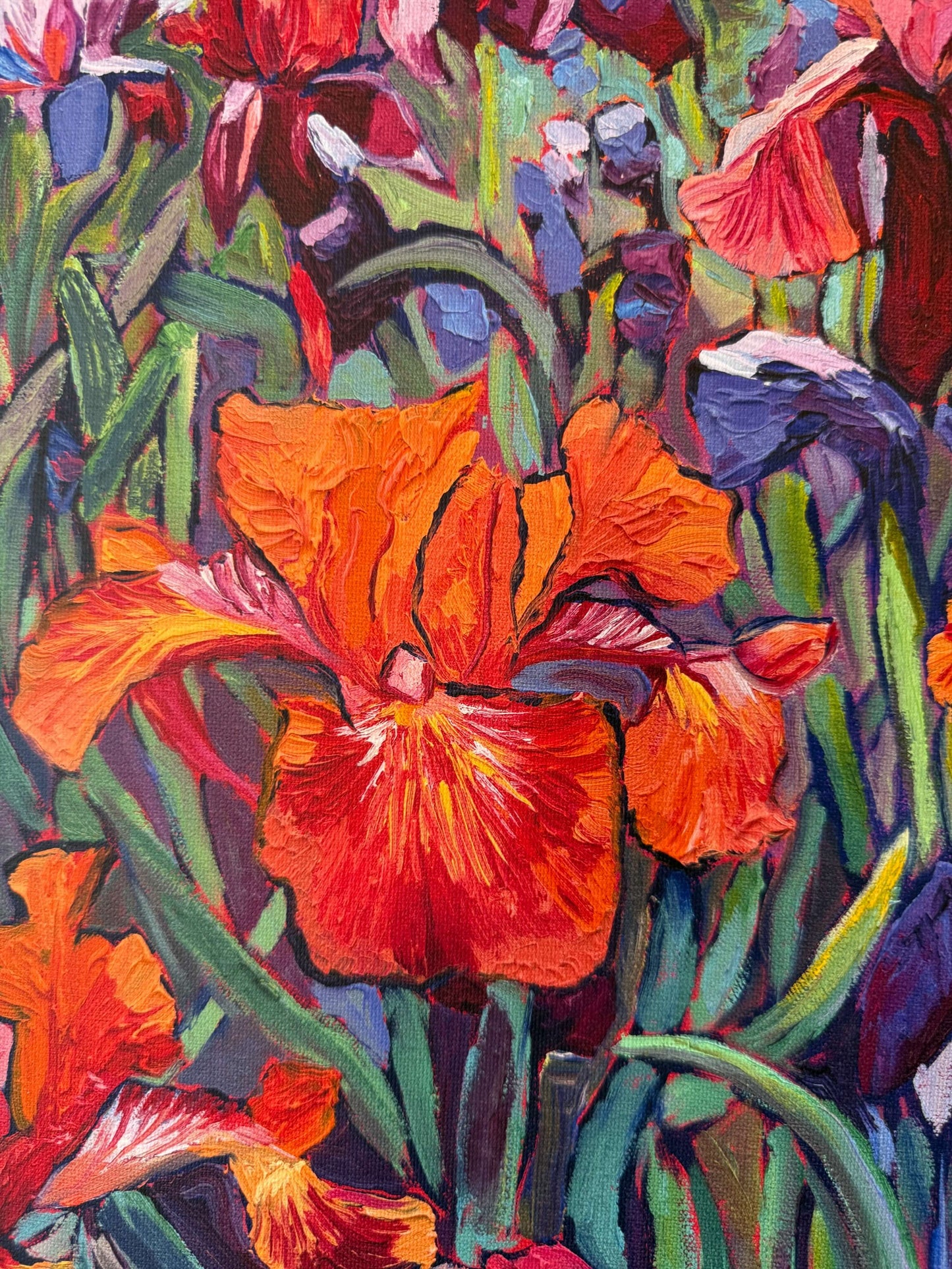 Wild Iris